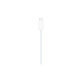 Cavo caricatore magnetico rapido a USB-C 1m Plastic, Bulk, Compatibile con Apple Watch