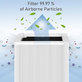 Filtro HEPA per Blueair Blue Pure 211+ (Activated carbon)