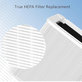 Filtro HEPA per Blueair Blue Pure 211+ (Activated carbon)
