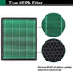 Filtro polvere per Coway Airmega 300, 300S (Activated carbon)