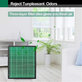 Filtro polvere per Coway Airmega 300, 300S (Activated carbon)
