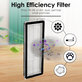 Filtro HEPA, 2 pz. per Xiaomi Roborock Qrevo Curv, Qrevo Edge, Qrevo MaxV, Qrevo Pro, Qrevo Plus, QV-series
