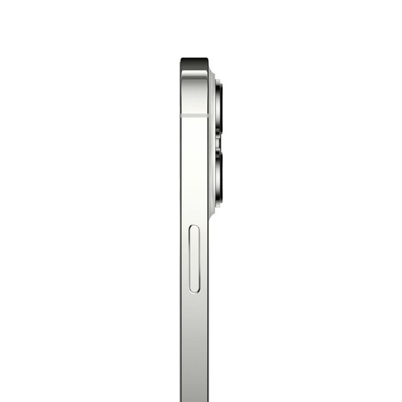 Apple iPhone 13 Pro Max Silver 1TB A Ricondizionato