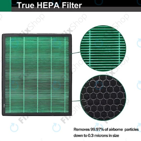 Filtro polvere per Coway Airmega 300, 300S (Activated carbon)
