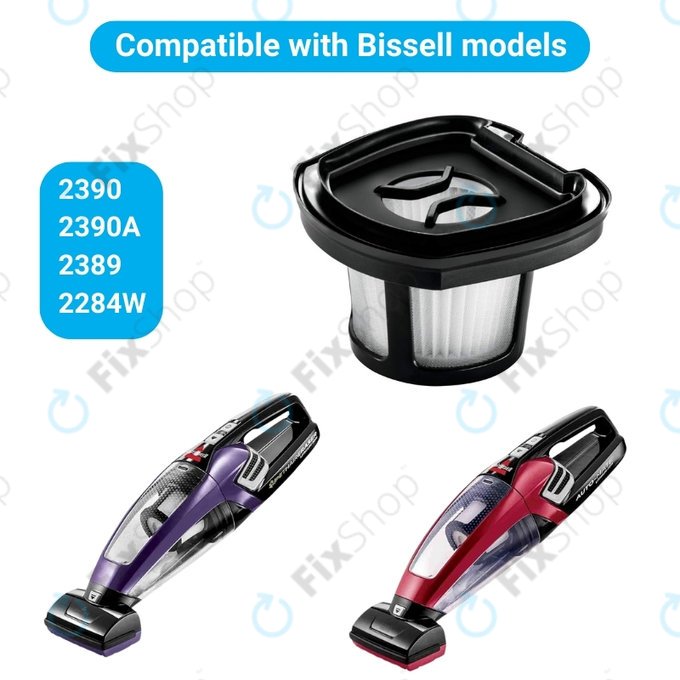 Filtro 2579 per Bissell Pet Hair Eraser