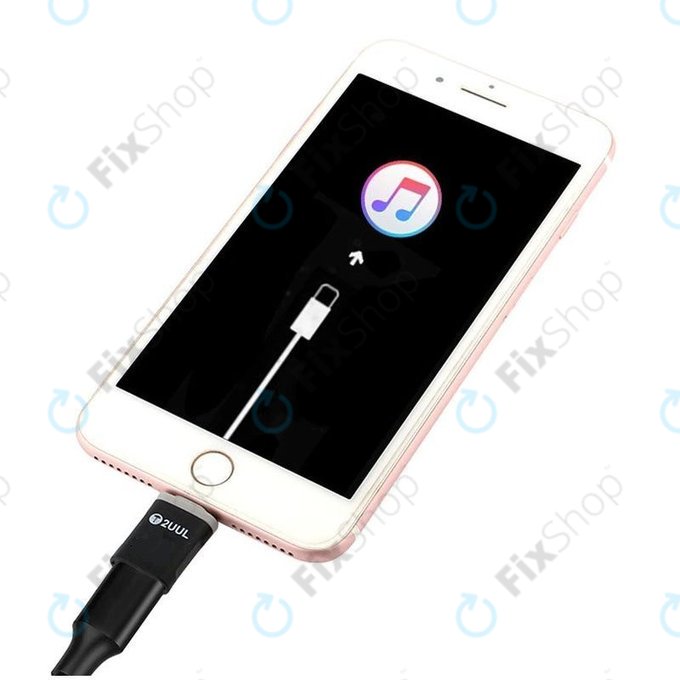 Strumento di recovery iOS, 2UUL ResDog