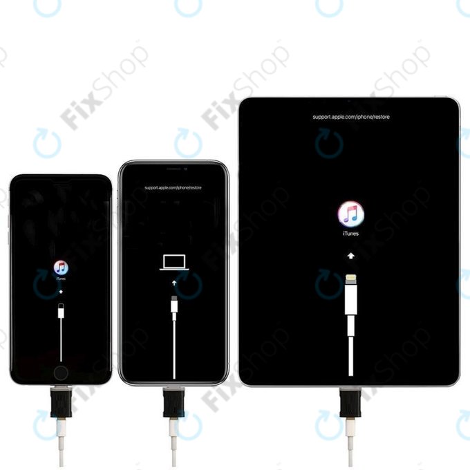 Strumento di recovery iOS, 2UUL ResDog
