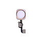 Tasto Home e cavo flex per iPhone 6S, 6S Plus, Gold