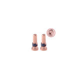 Viti inferiori per iPhone 6S, 6S Plus, Rose Gold