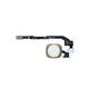 Tasto Home e cavo flex per iPhone 5S, SE, Gold