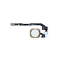 Tasto Home e cavo flex per iPhone 5S, SE, Gold