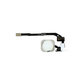 Tasto Home e cavo flex per iPhone 5S, SE, Silver
