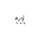 Set viti inferiori P5 pentalobe per MacBook Air 13" A1369 (Late 2010 - Mid 2011), A1466 (Mid 2012 - Mid 2017)