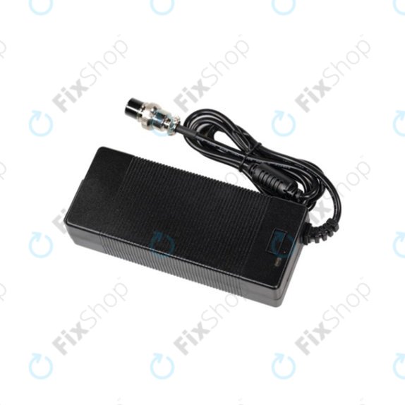 Caricatore 54.6V 3A per Kugoo M5