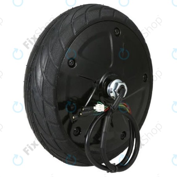 Set motore con pneumatico 36V 350W per Ninebot Segway ES1, ES2