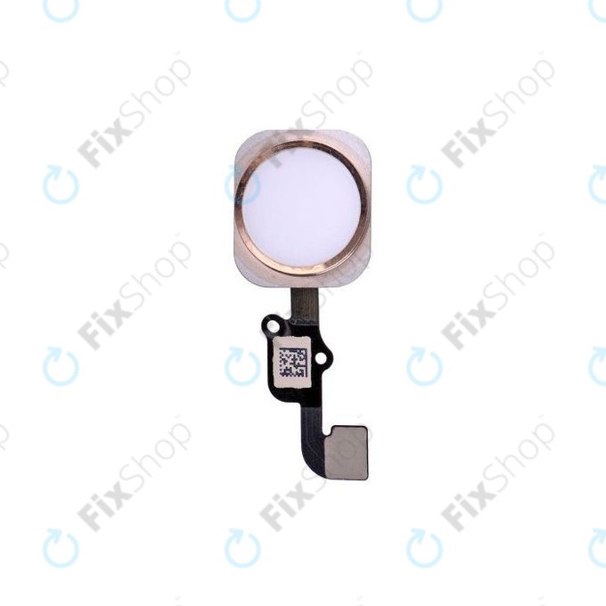 Tasto Home e cavo flex per iPhone 6S, 6S Plus, Gold