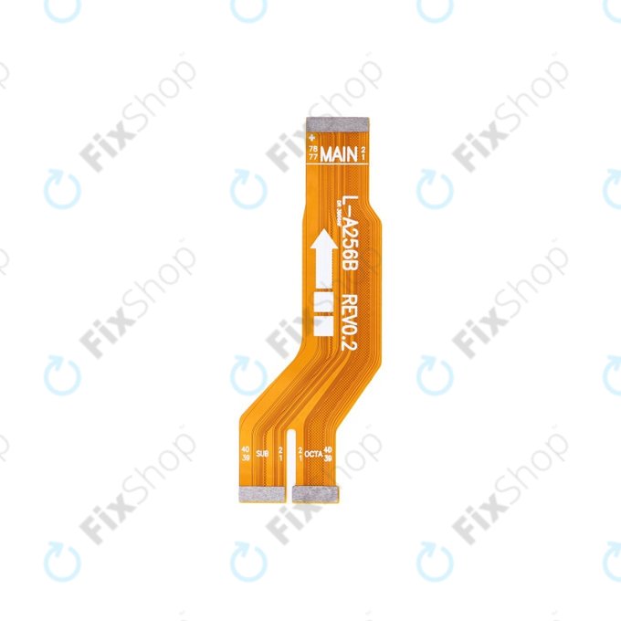 Cavo flex principale per Samsung A25 A256B